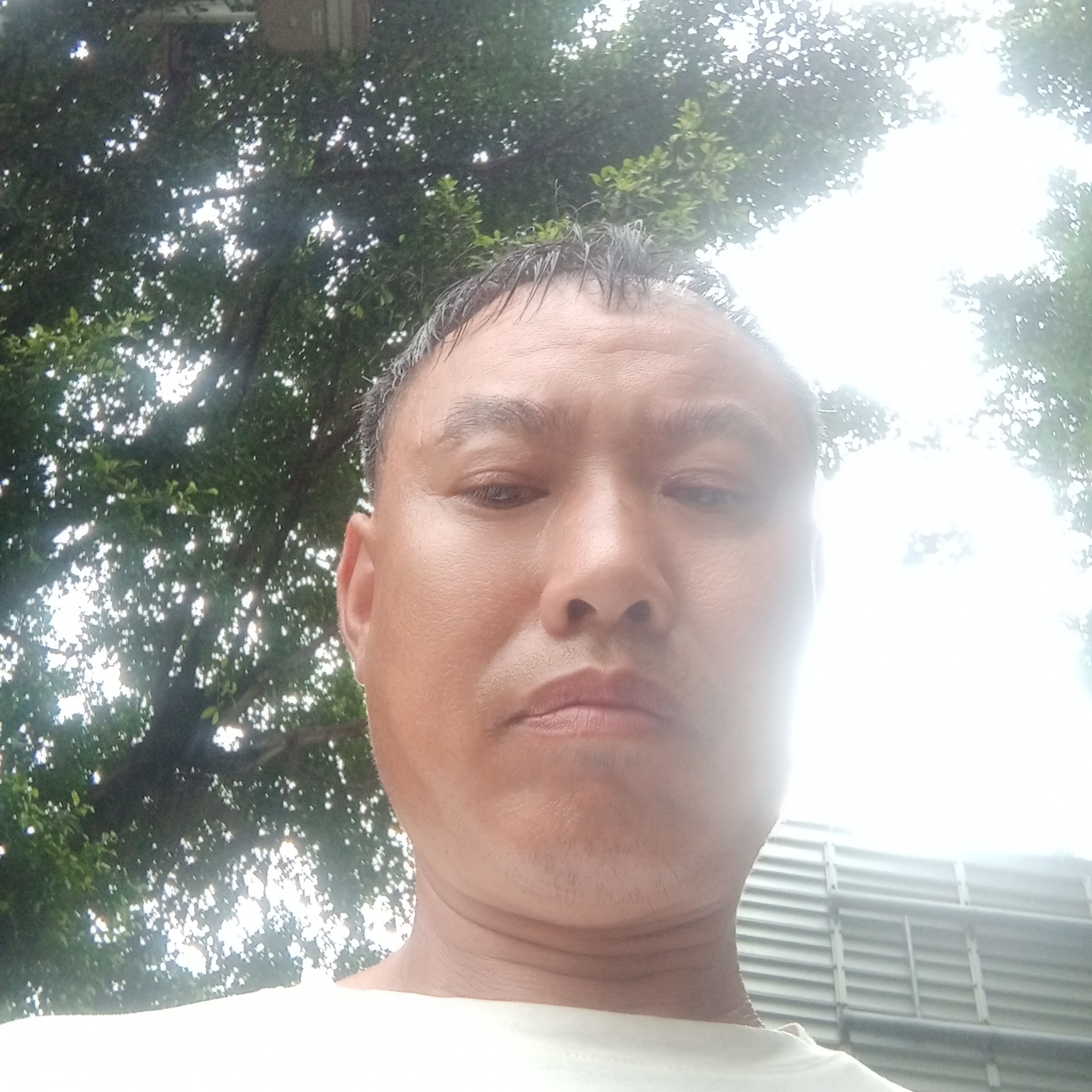 小巧扯微笑的照片
