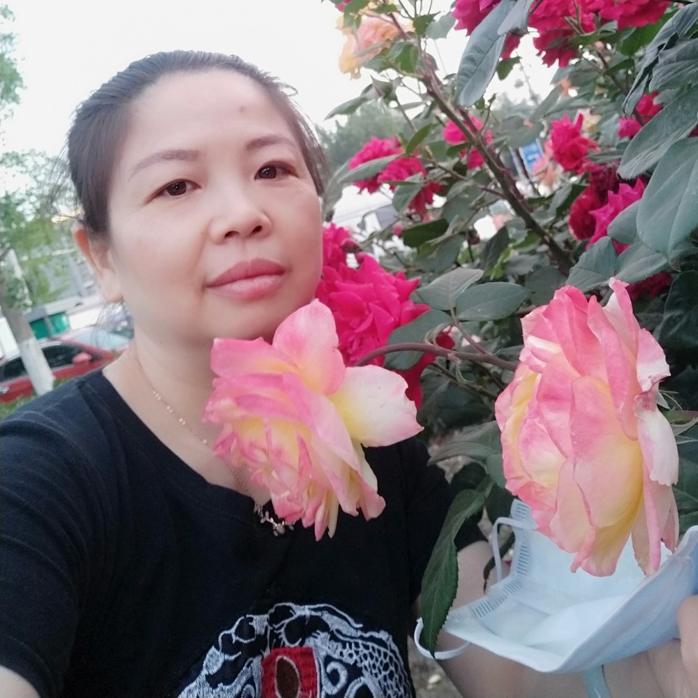 纸鹤那谨慎的照片