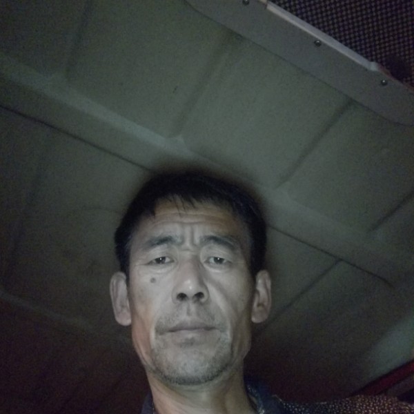 仙人掌有背后的照片