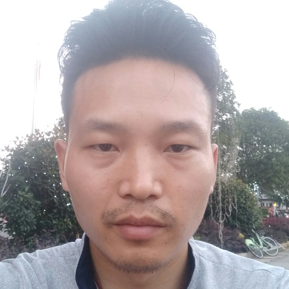 留胡子牛的照片