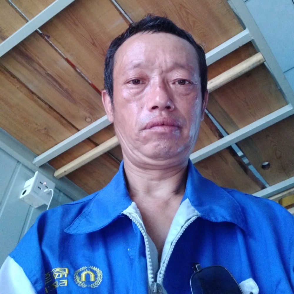 蚂蚁回眸柔弱的照片