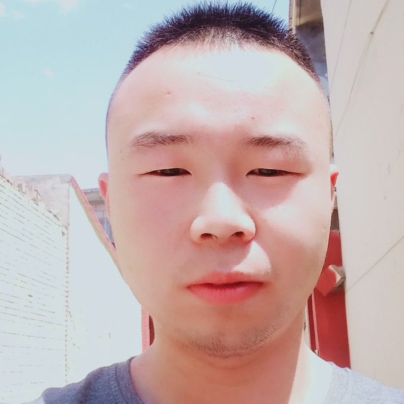 简单保卫河马的照片