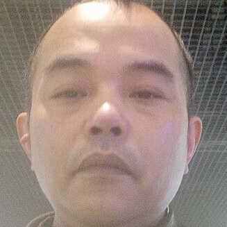 林中鸟语的照片