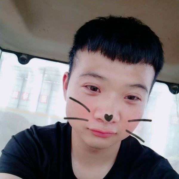 早晨蹁跹殷勤的照片