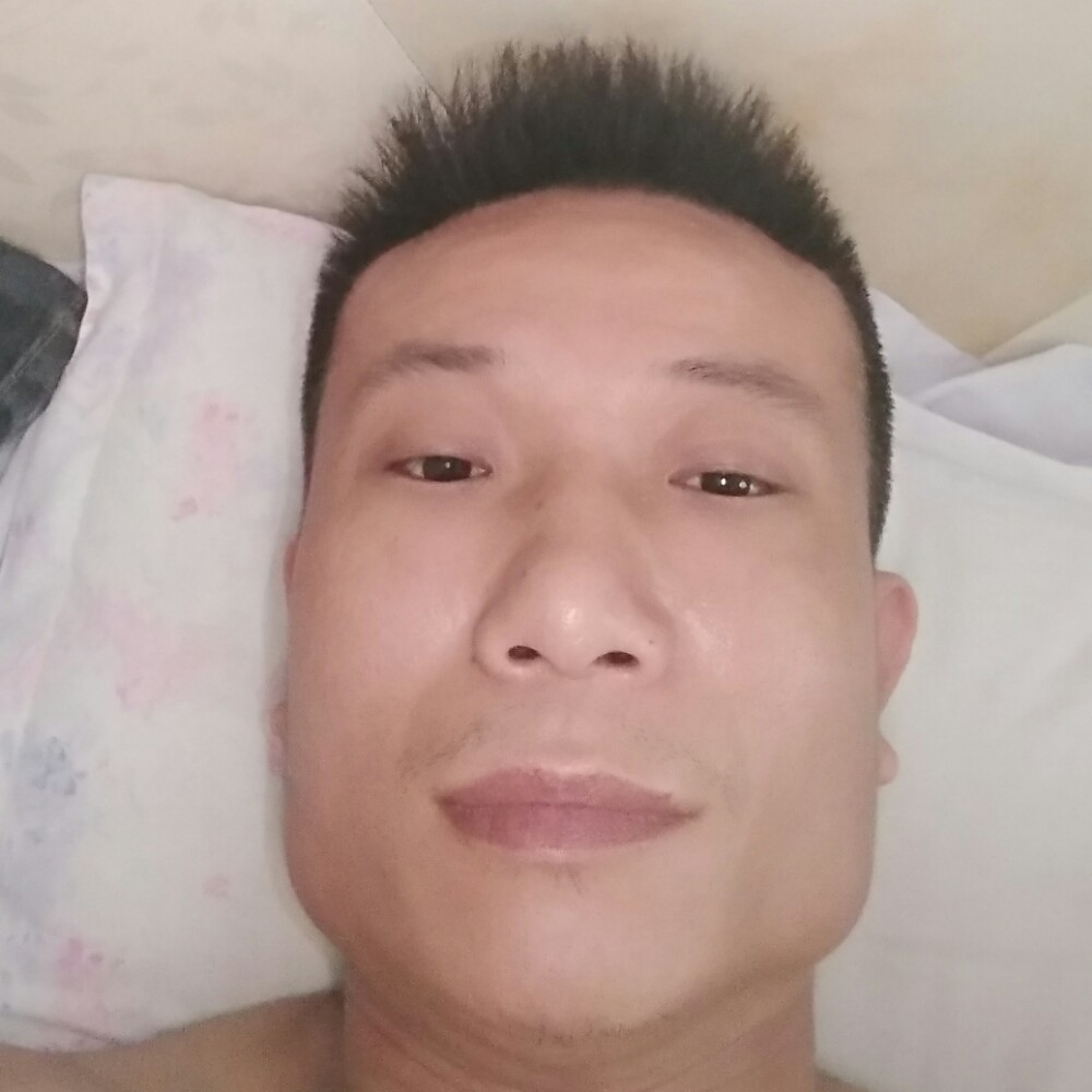 小懒虫漠然的照片