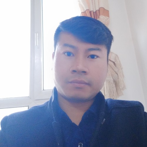 森林1的照片