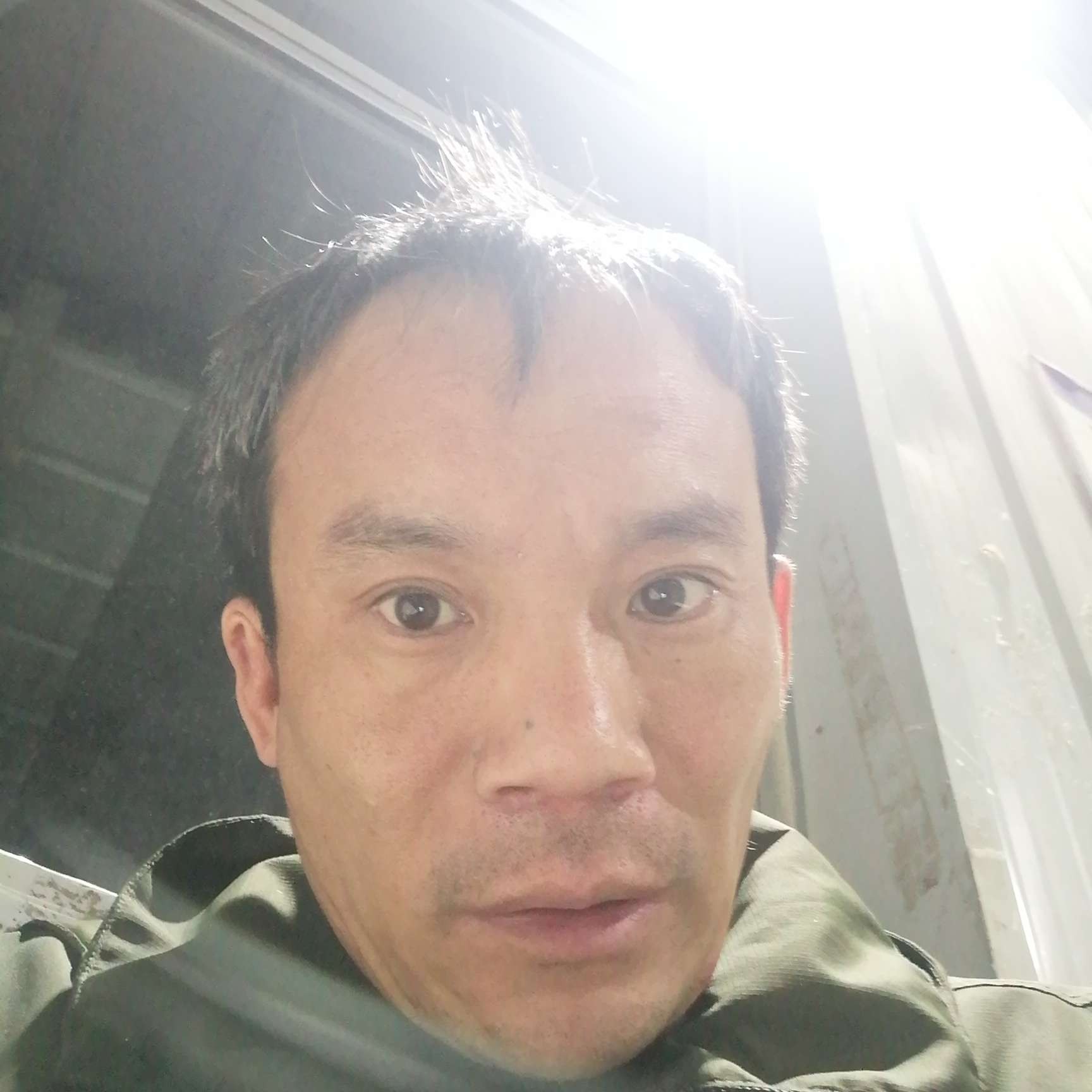迷离倾心草莓的照片