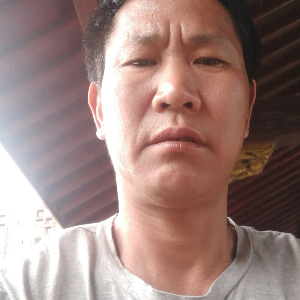 四季长春。的照片