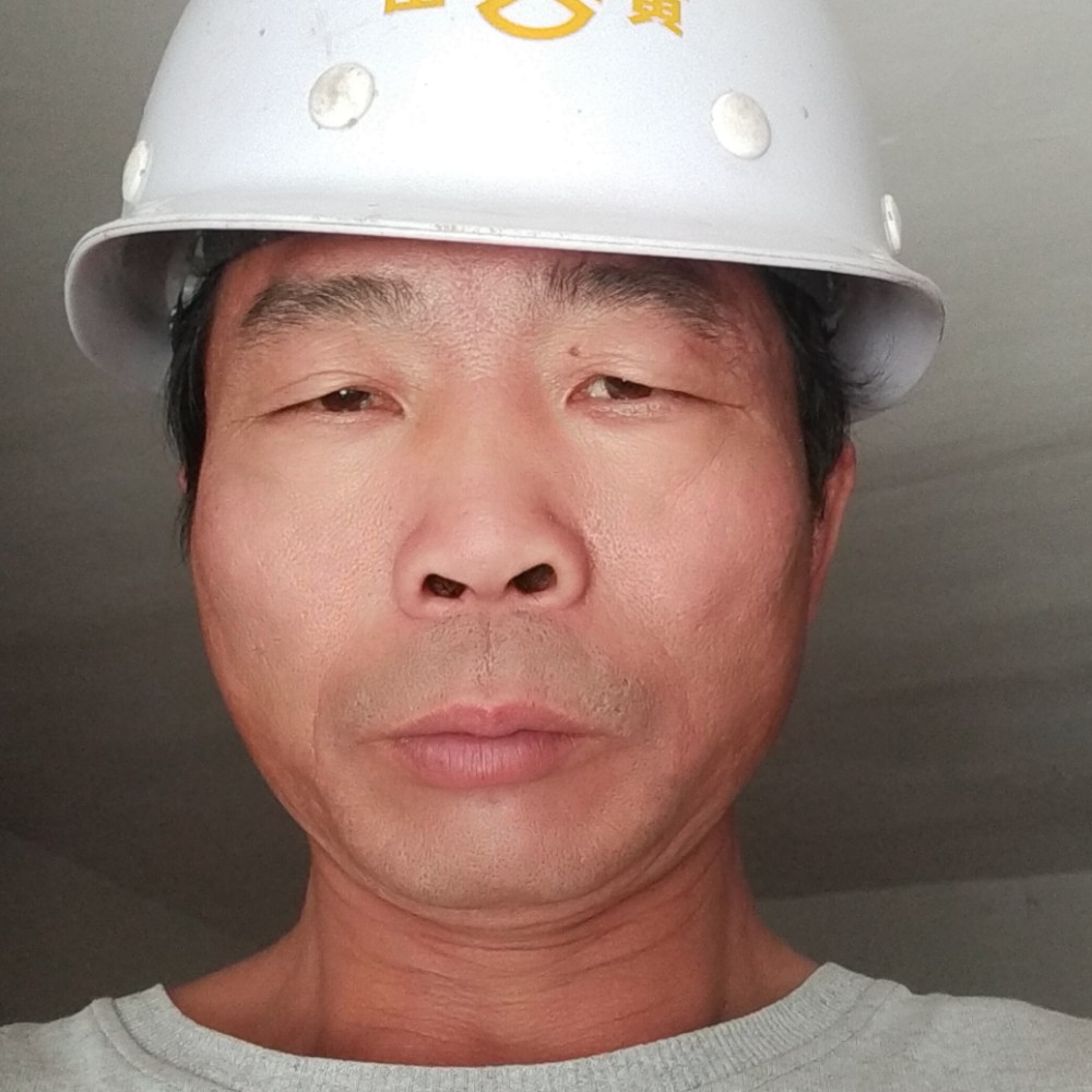 软耳兔兔不相亲的照片