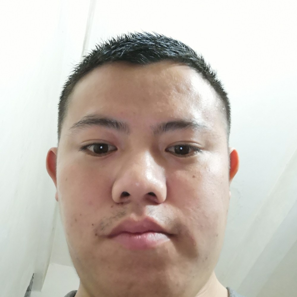 贤惠羽毛的照片