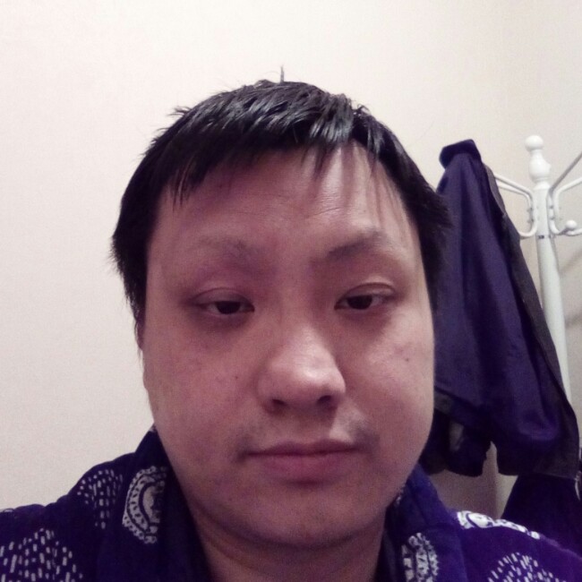本命年猪的照片