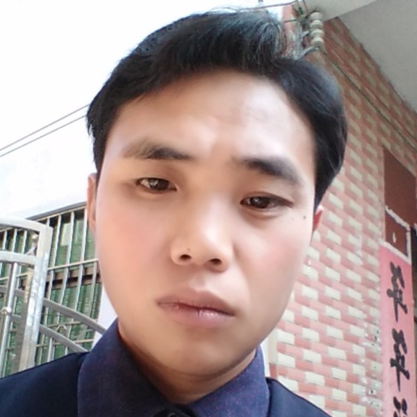 无辜百合的照片