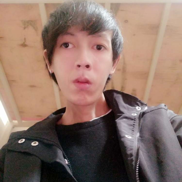 温柔过客，住客栈的照片