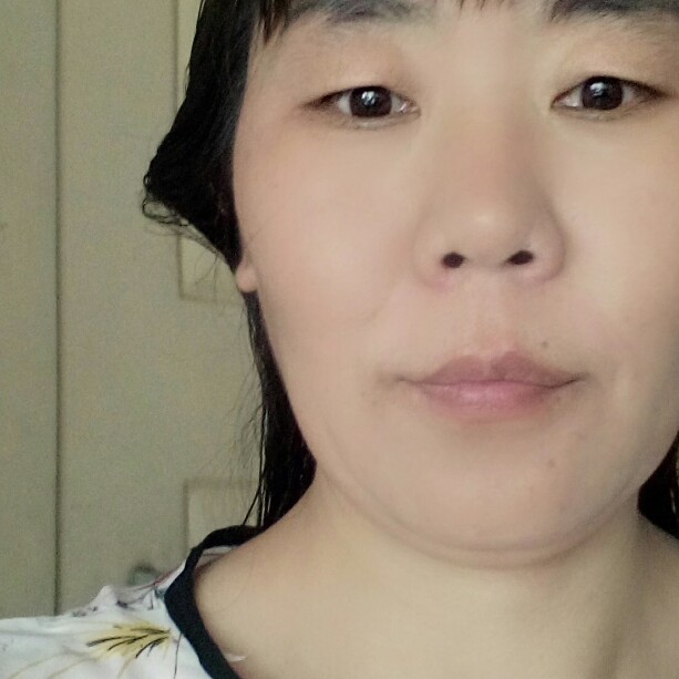 鸭子典雅的照片