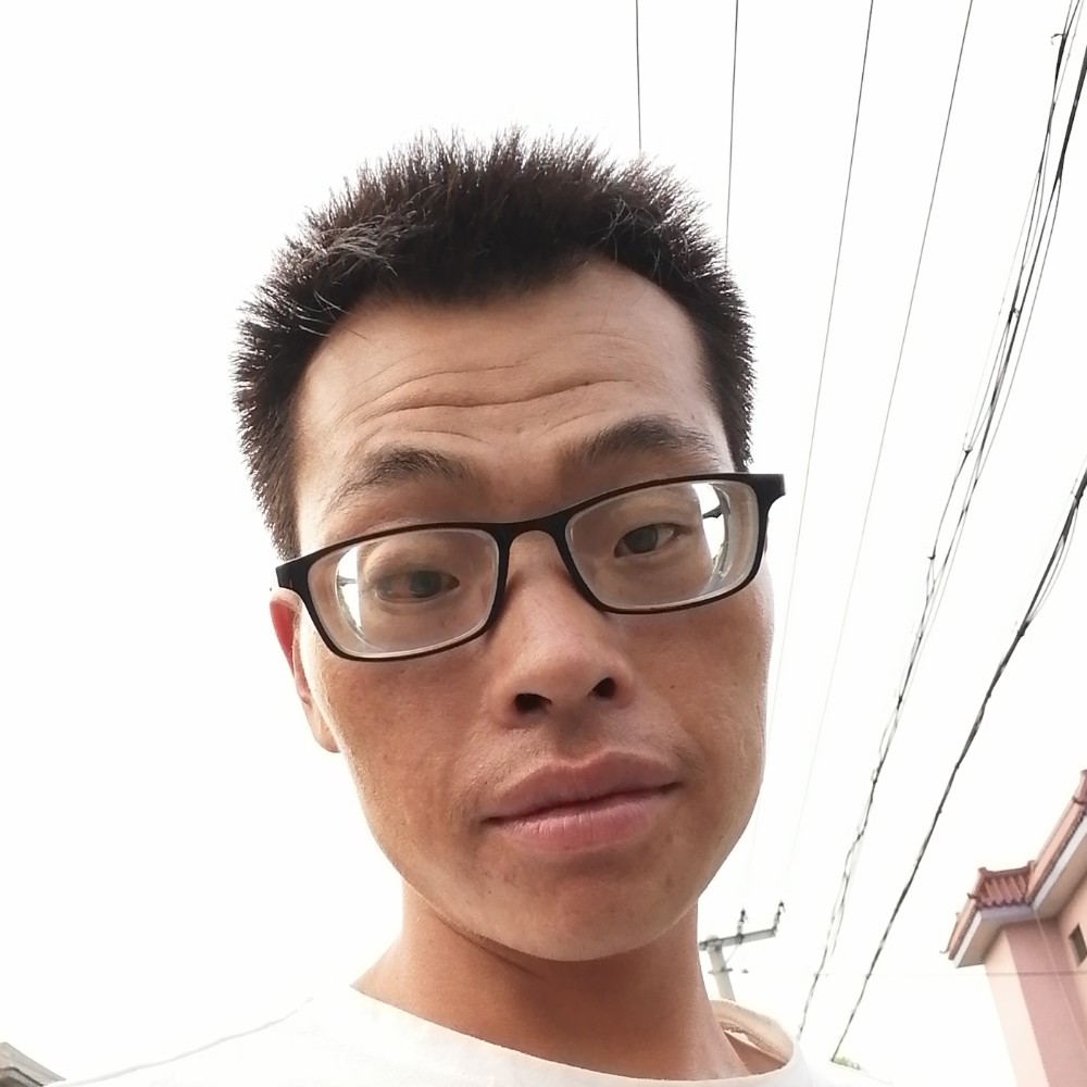 向日葵忐忑的照片
