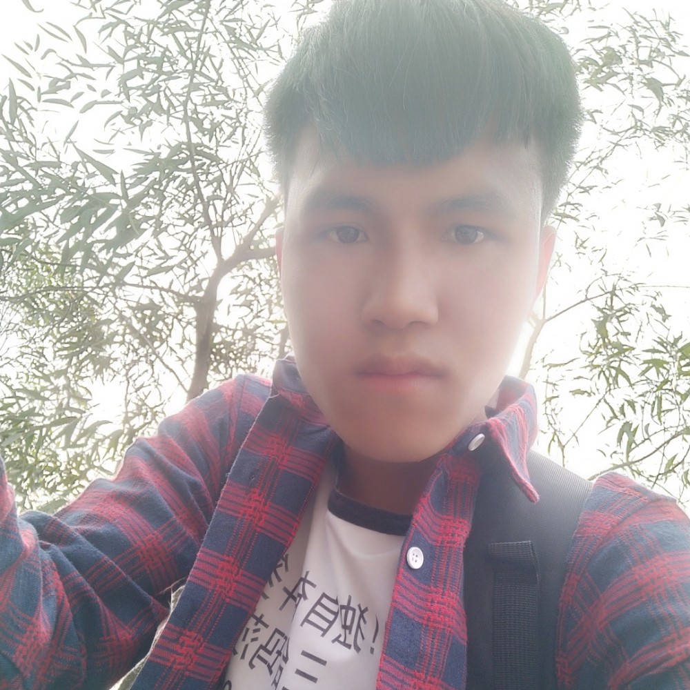 红玫瑰改变和谐的照片