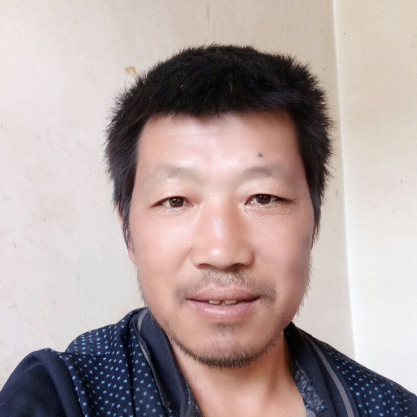猫咪聪慧的照片