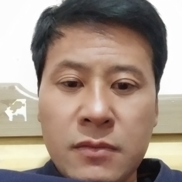 清秀小兔子的照片