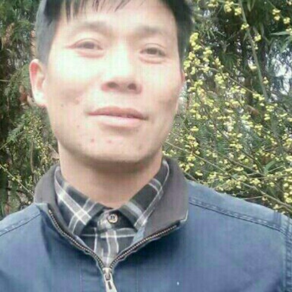 68668888的照片