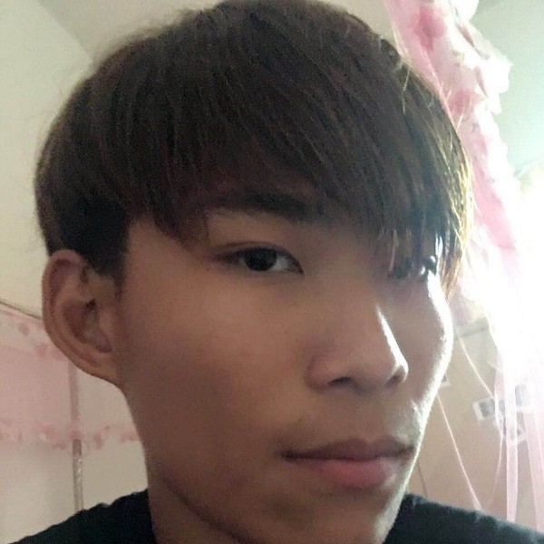 A蚊的照片