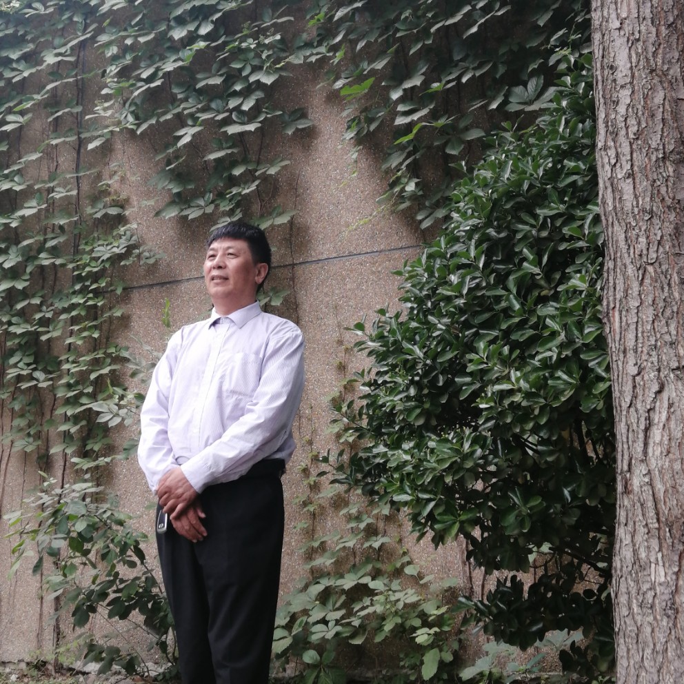 小懒虫改变沉静的照片
