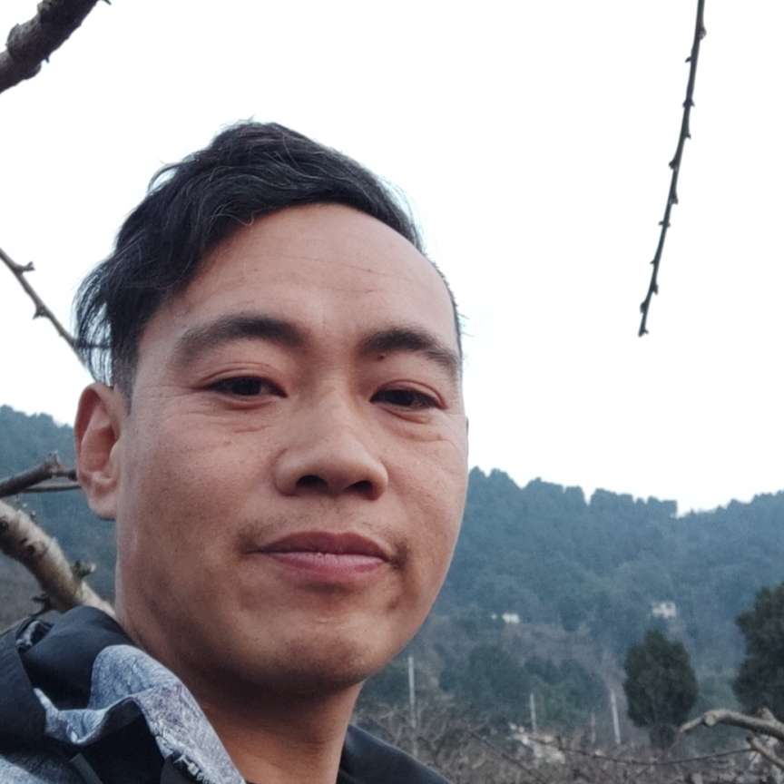 绵密的梦影的照片