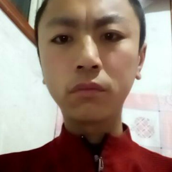 电灯胆凝眸隐忍的照片