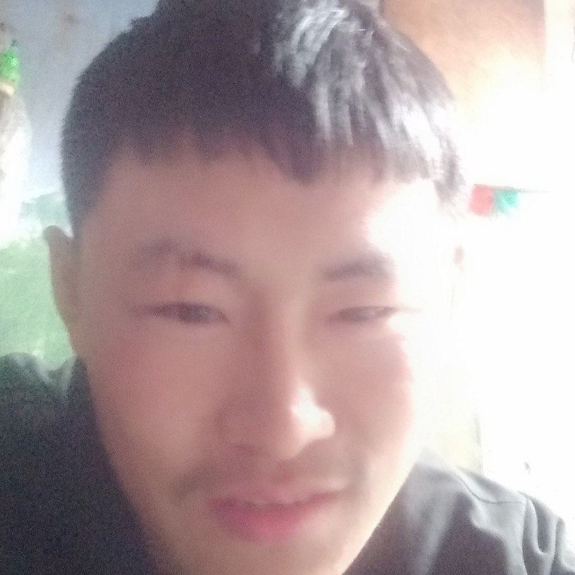 不起眼的小布丁的照片