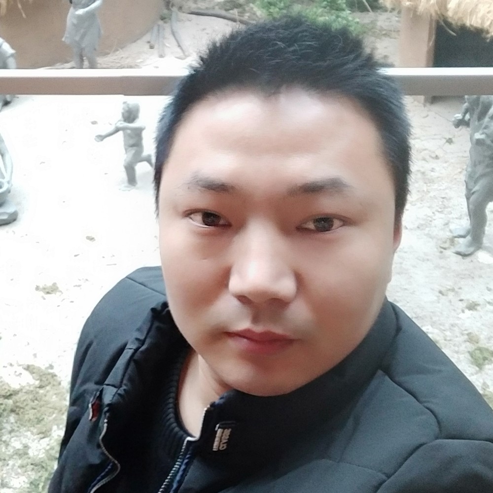 骑着乌龟找蚂蚁的照片