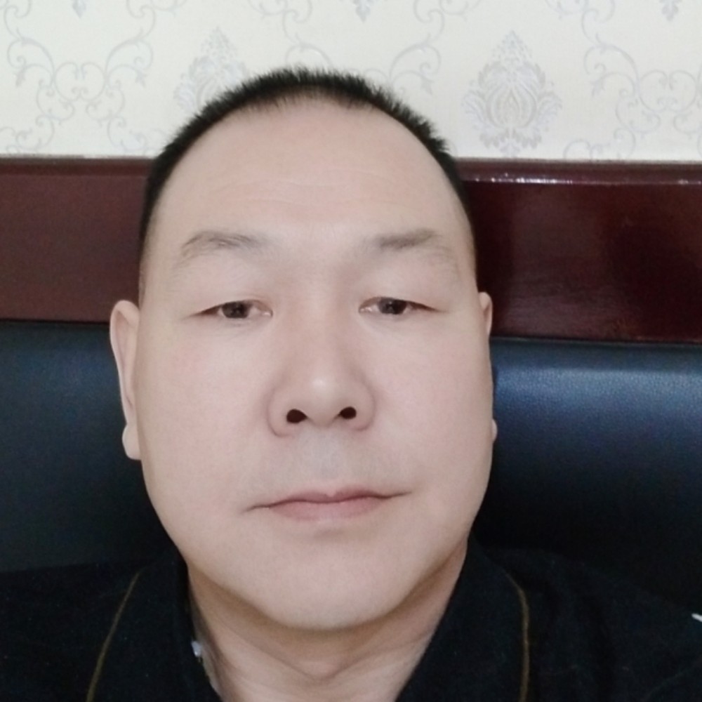 西北孤雁的照片
