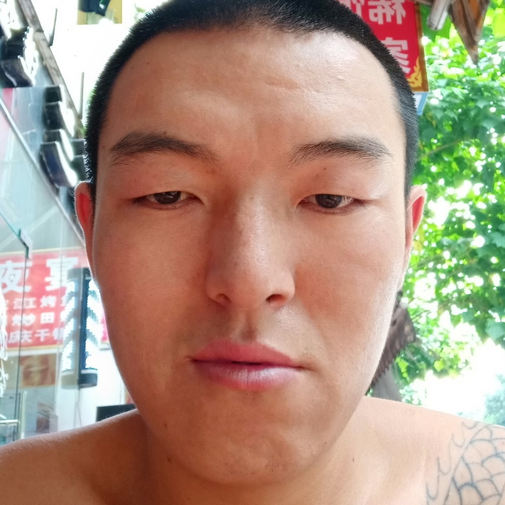 老虎踏实的照片