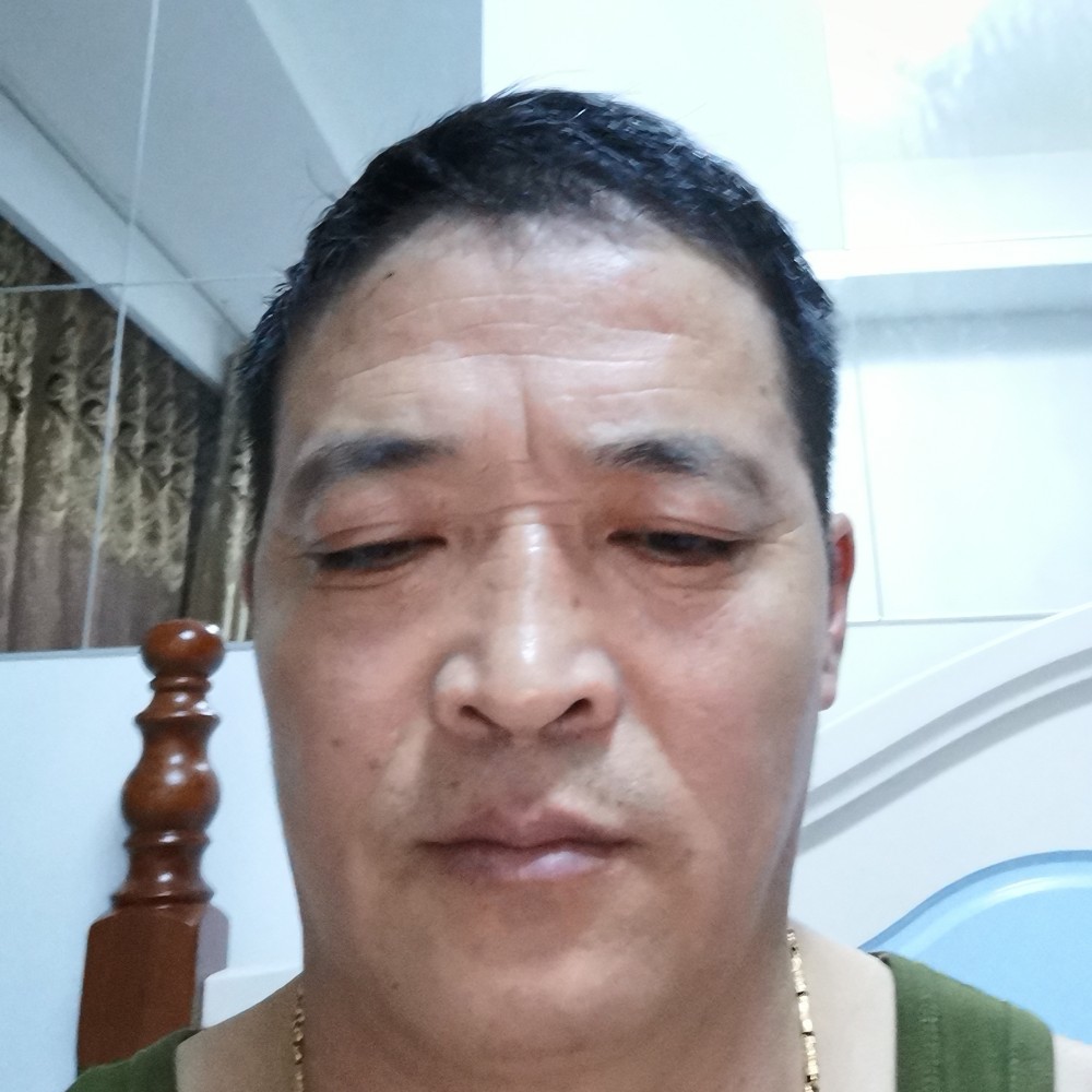 向日葵忧伤的照片