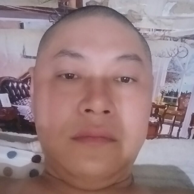 卧狼的照片