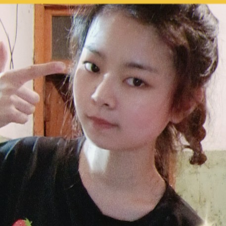 小海豚美满的照片