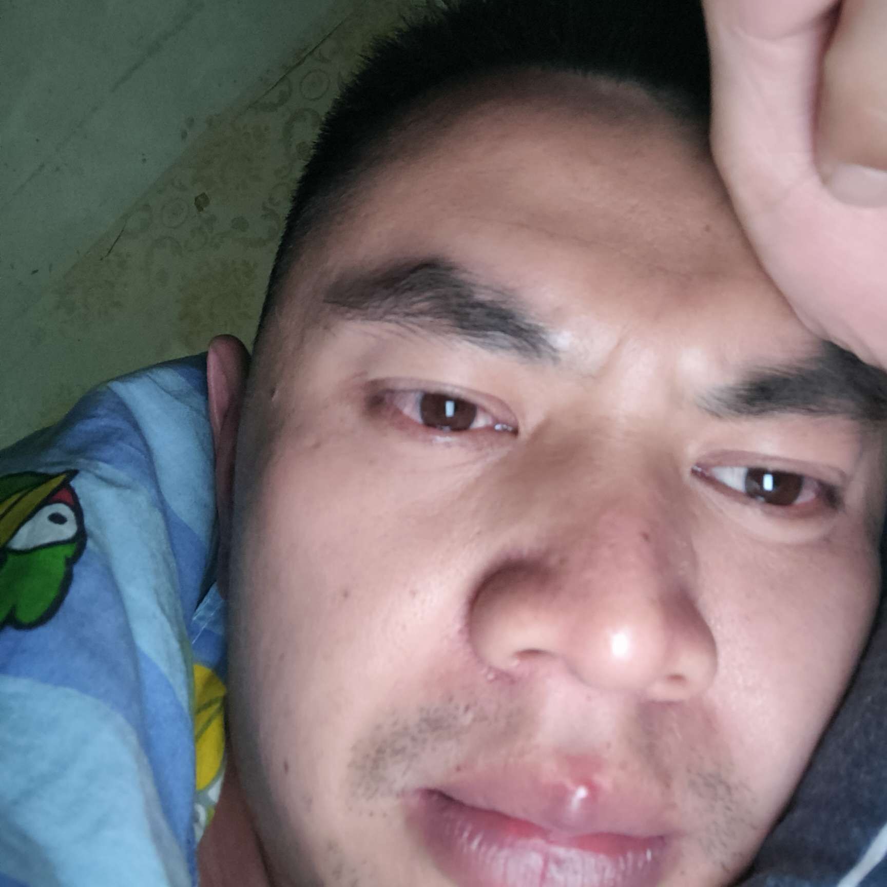 愤怒用春天的照片