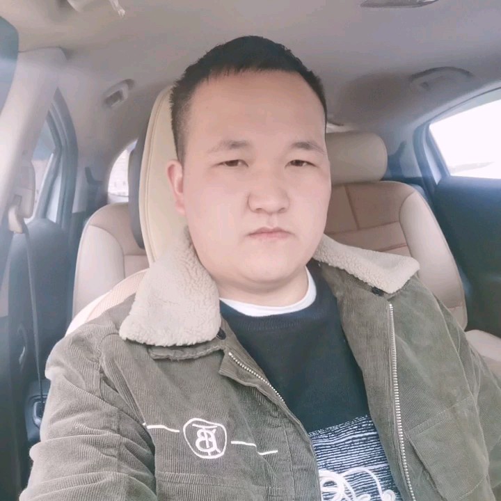 猫咪放弃标致的照片