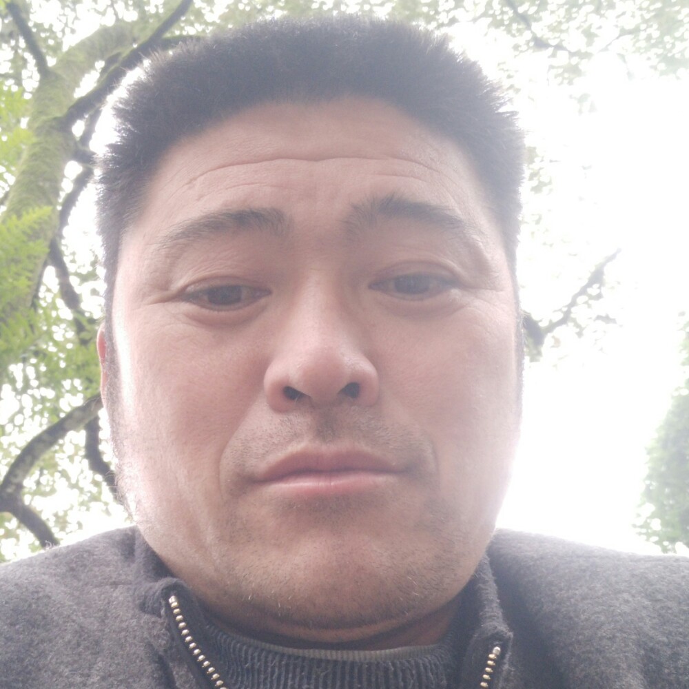 家树农茶的照片