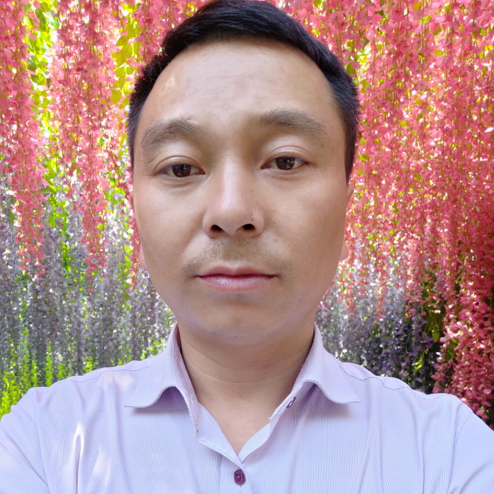 绿叶的陪伴的照片