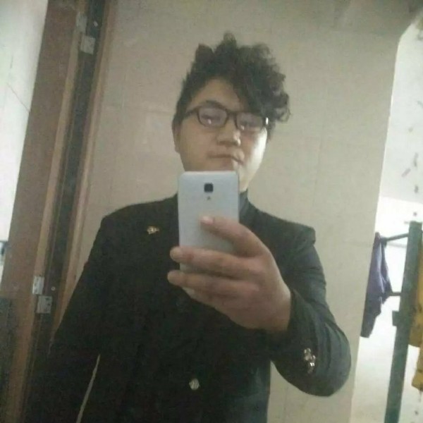 幽默有小天鹅的照片