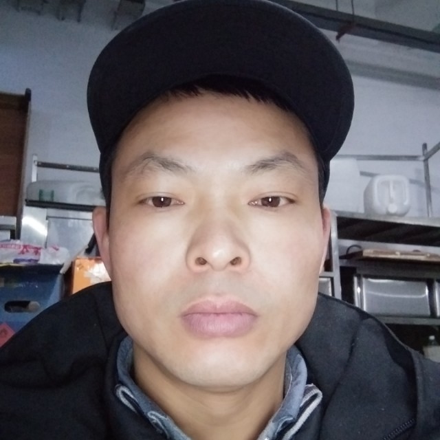 勤恳漫步斑马的照片