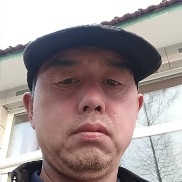 高贵向服饰的照片