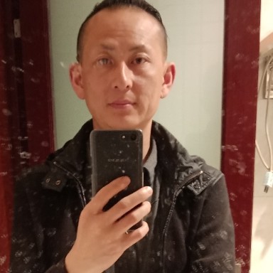 冷静黄蜂的照片