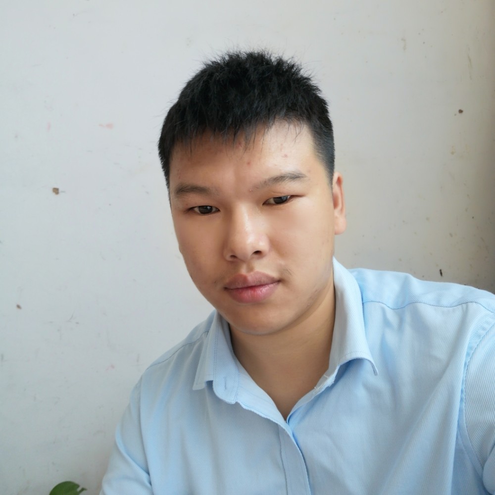 鳗鱼发带的照片