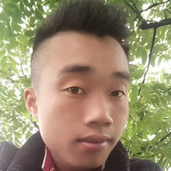 可爱铅笔的照片