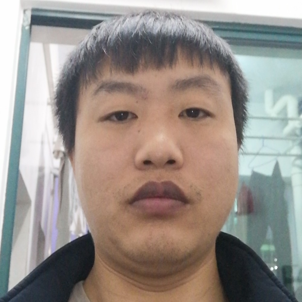 硬币坚定的照片