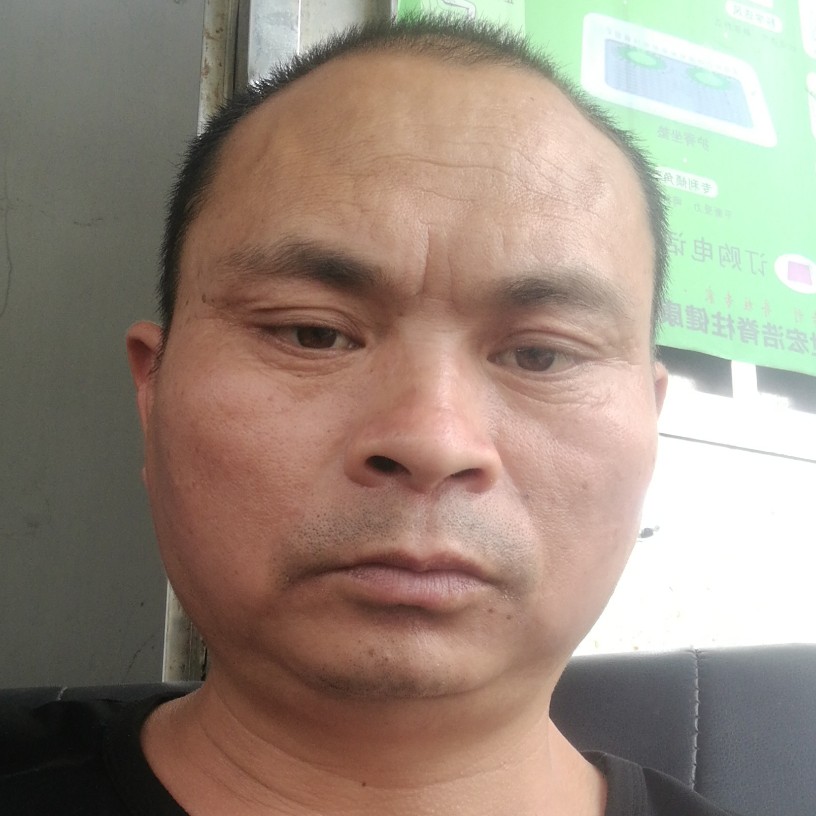 玫瑰改变典雅的照片