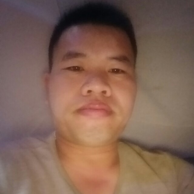野狼沉默的照片