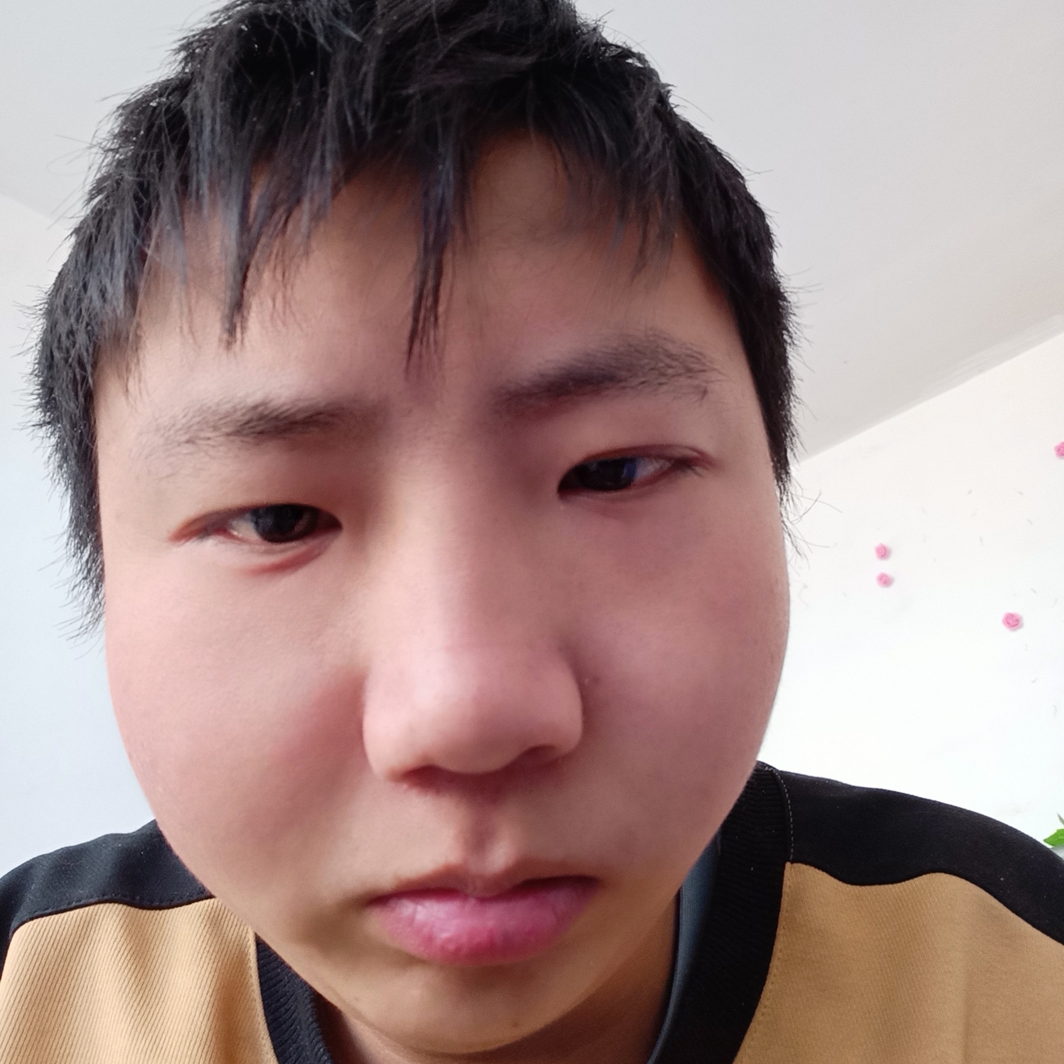 花卷爱亲爱的的照片