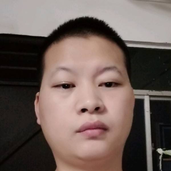 鲜花光亮的照片