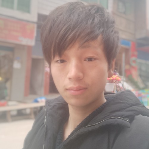 只为寻找他的照片